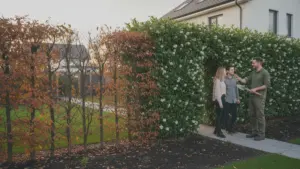 Vergeet de fotinia. Deze miskende heester beschermt je tuin op een subtiele manier